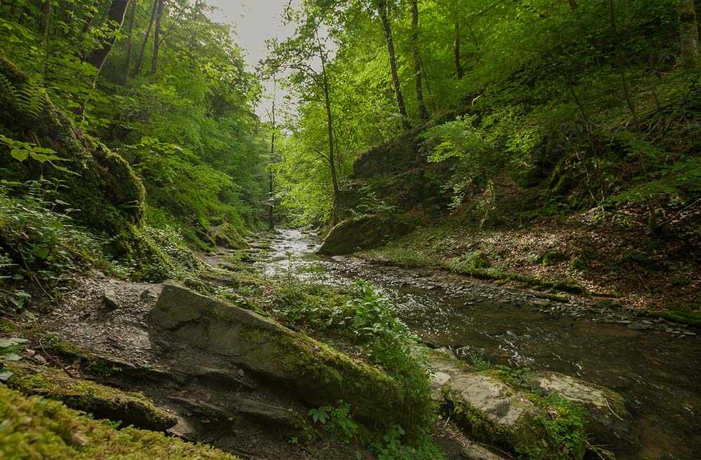 Die Ehrbachklamm - Eine der schönsten Wanderwege 4